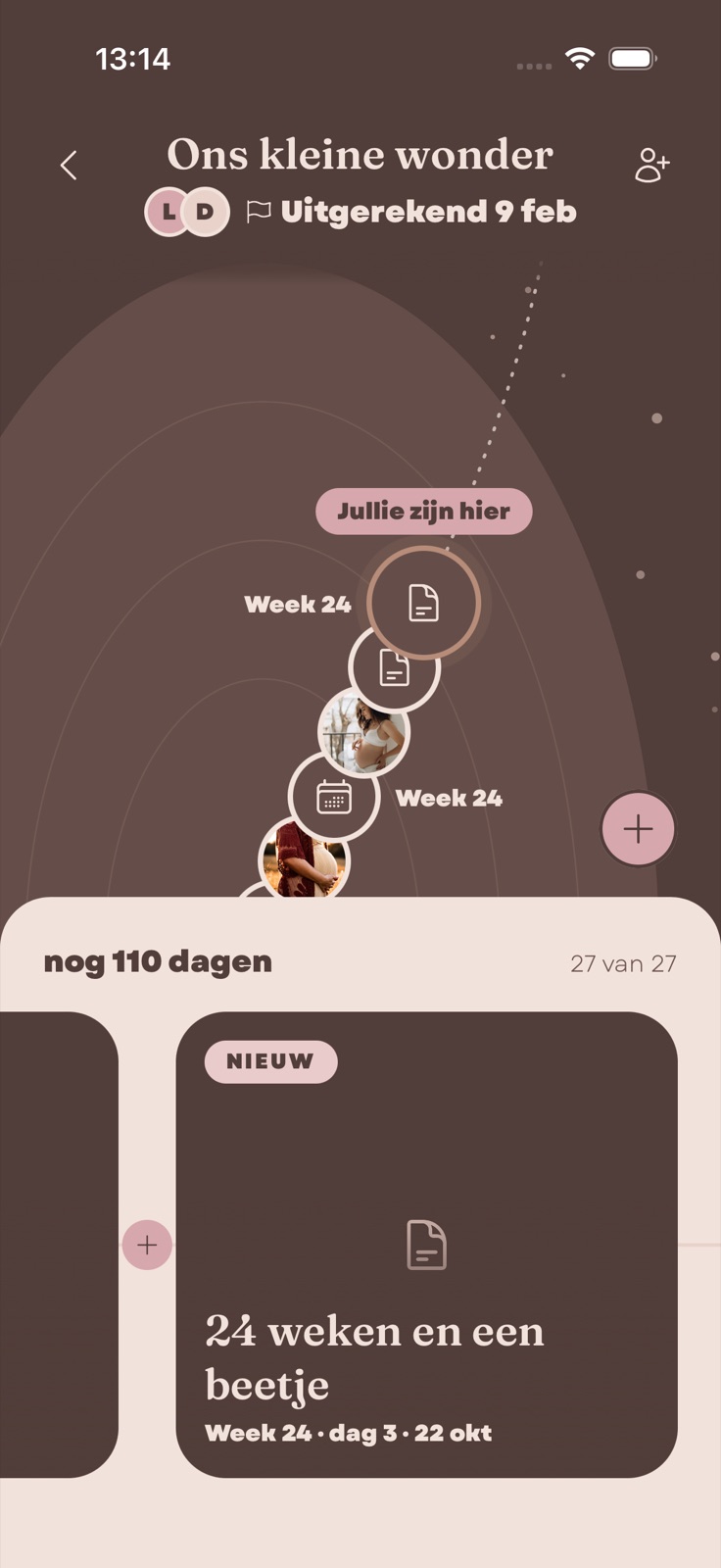 De zwangerschapstijdlijn van Littlestep
